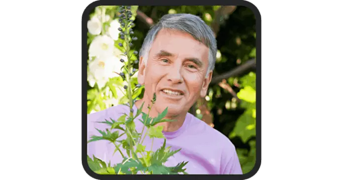 Flush Factor Plus Review 1